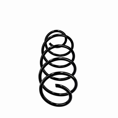 ARC SPIRAL EIBACH R10293 1