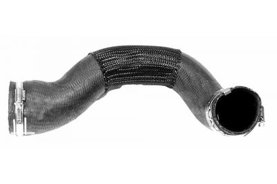 FURTUN EAR SUPRAALIMENTARE