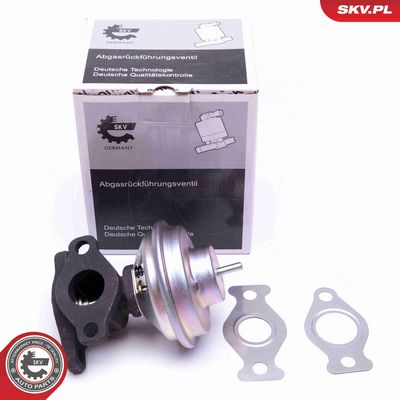 SUPAPA EGR ESEN SKV 14SKV204