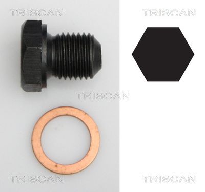 TRISCAN 9500 2902 Пробка поддона  для SEAT INCA (Сеат Инка)