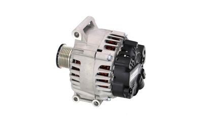 GENERATOR / ALTERNATOR REMANTE 011003000095R 18