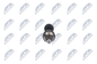 PLANETARA NTY NPWCH034 15