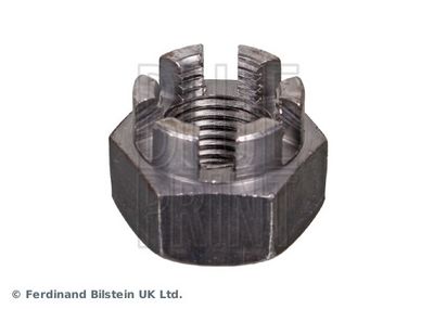 PIULITA CRENELATA BLUE PRINT ADBP780084