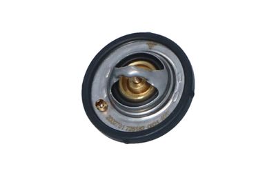 TERMOSTAT LICHID RACIRE NRF 725182 9