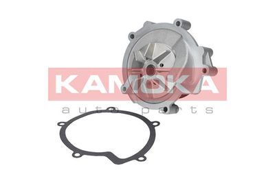 Water Pump, engine cooling T0100