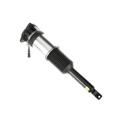 LUFTFEDERBEIN Arnott AS2966 67