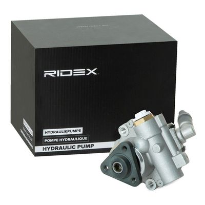 RIDEX Servo pomp (12H0174)