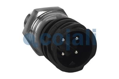 Vorschau Sensor, Öldruck