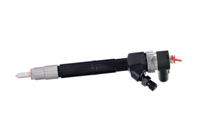 INJECTOR REMANTE 002003001100R 10