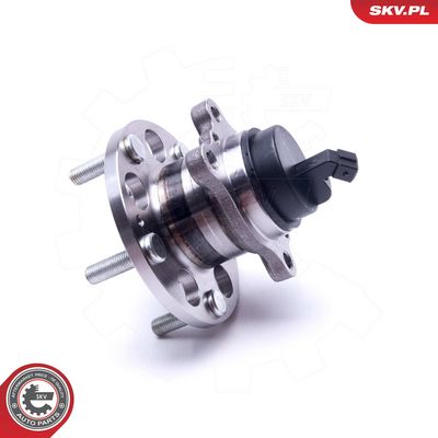 Rato guolio komplektas