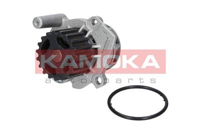 Water Pump, engine cooling T0023
