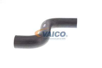 KüHLERSCHLAUCH VAICO V301574 54