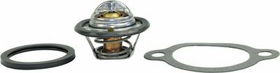 Thermostat, Kühlmittel