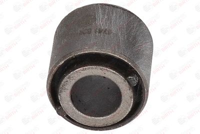 BUCSA ARBORE DE DIRECTIE BIRTH 4741 10