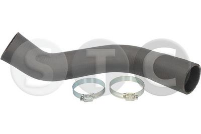 FURTUN EAR SUPRAALIMENTARE