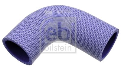 FEBI BILSTEIN Kühlerschlauch