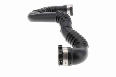 FURTUN EAR SUPRAALIMENTARE ACKOJA A380618 5