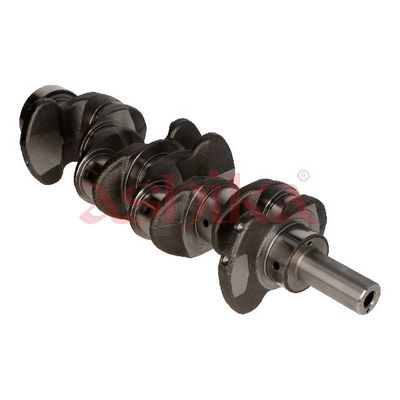 ARBORE COTIT ASHIKA 18KI003 2