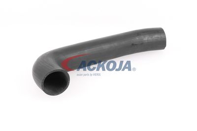 FURTUN EAR SUPRAALIMENTARE ACKOJA A379602 55