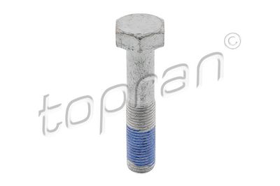 Pulley Bolt 723 934