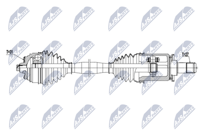PLANETARA NTY NPWBM251
