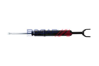 AMORTIZOR BOGAP A3410170 1