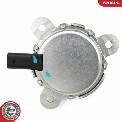 Řídicí ventil, seřízení vačkového hřídele ESEN SKV 39SKV908