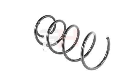 ARC SPIRAL GH GH2015497 51