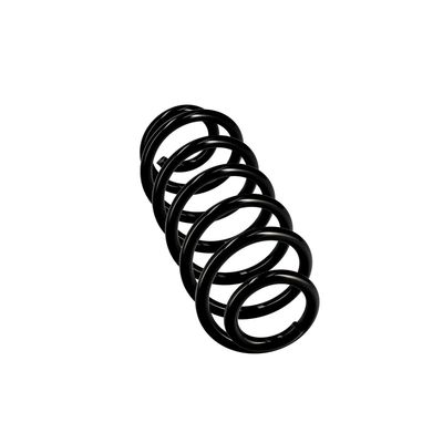 ARC SPIRAL EIBACH R10141 12