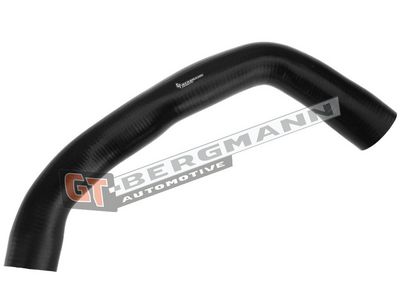 GT-BERGMANN Automotive Kompresoriaus padavimo žarna