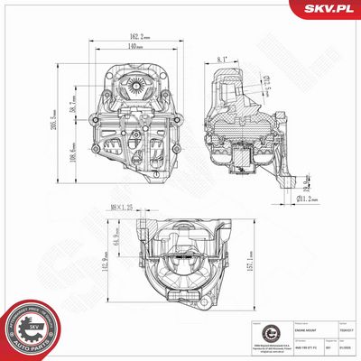 variklio montavimas 75SKV217 ESEN SKV