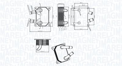 RADIATOR ULEI ULEI MOTOR