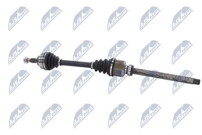 PLANETARA NTY NPWPE081 26