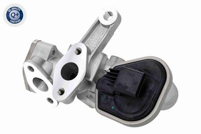 SUPAPA EGR ACKOJA A52630041 4