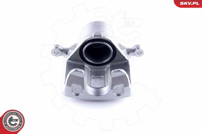 Brake Caliper 50SKV771