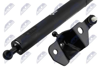 AMORTIZOR PORTBAGAJ NTY AETY070 1