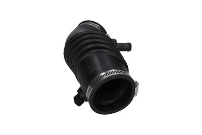 FURTUN EAR SUPRAALIMENTARE