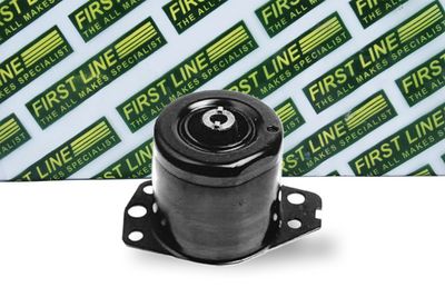 окачване, двигател FIRST LINE FEM3092