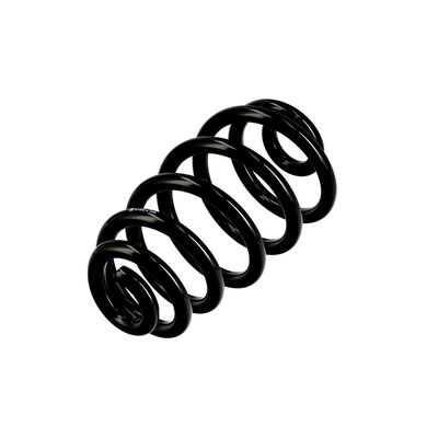 ARC SPIRAL EIBACH R10574 3