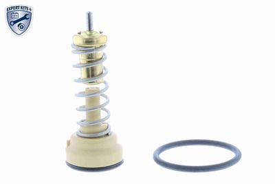 TERMOSTAT LICHID RACIRE