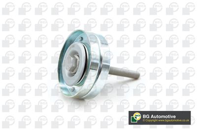WILMINK GROUP WG1992132 Ролик ремня генератора для VW FOX