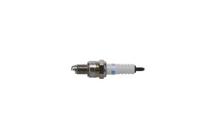 BOSCH Spark Plug F 01A 017 B00