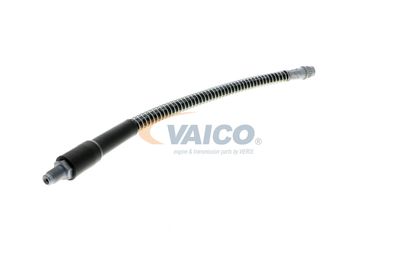FURTUN FRANA VAICO V464113 53