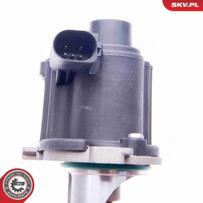 SUPAPA EGR ESEN SKV 14SKV172 5