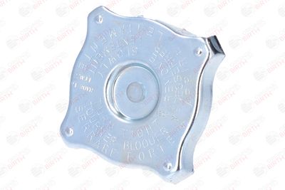 BUSON RADIATOR BIRTH 8088 1