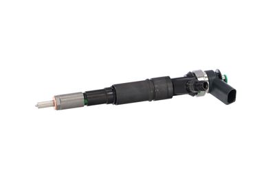 INJECTOR REMANTE 002003001184R 10