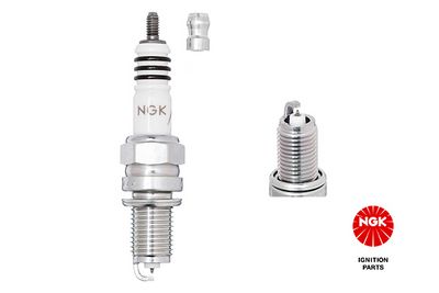 Spark Plug 6046