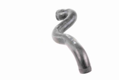 LADELUFTSCHLAUCH VAICO V102912 3