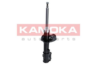 Shock Absorber 2000244