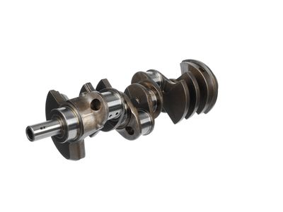 ARBORE COTIT ET ENGINETEAM HK0218 26